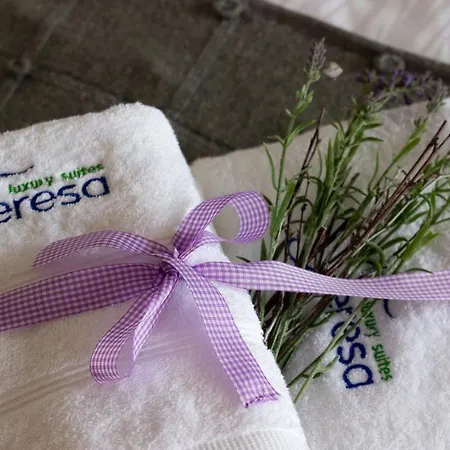 Teresa Luxury Appartement *